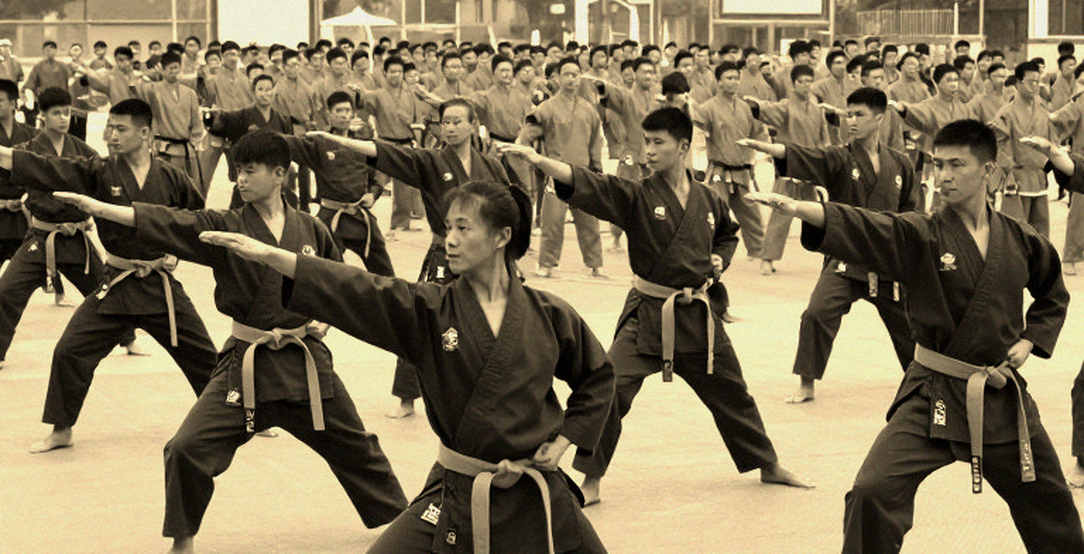 Võ cổ truyền Việt Nam bước vào kỷ nguyên chuyên nghiệp: Từ sân đình đến đấu trường quốc tế